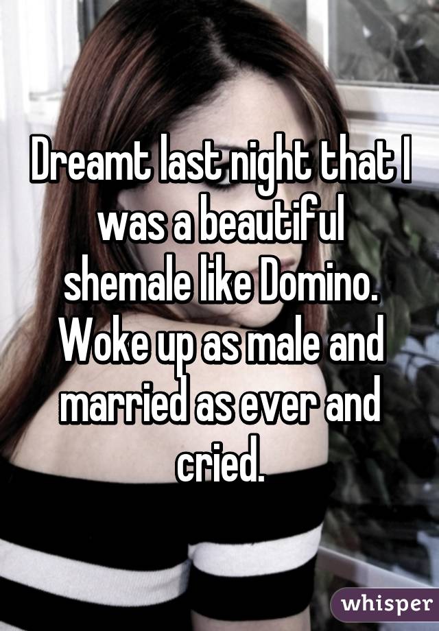 Shemale Domino
